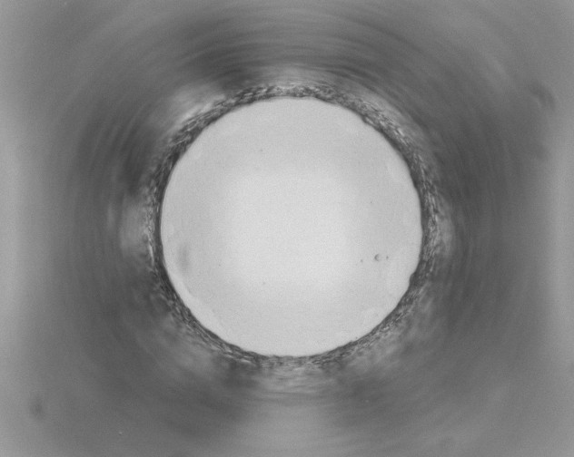 X0000115420824200912151601