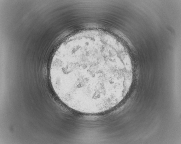 X0000115420825200912151601