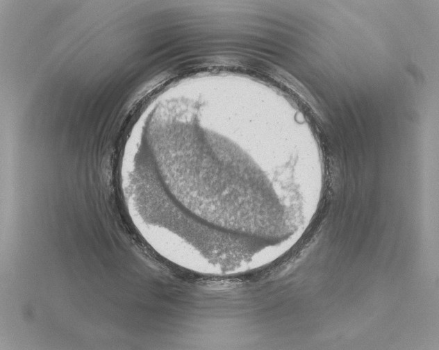 X0000115420826200912151601