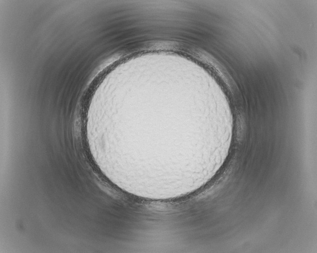 X0000115420827200912151601