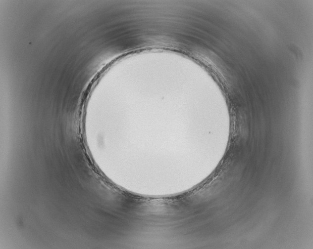 X0000115420828200912151601