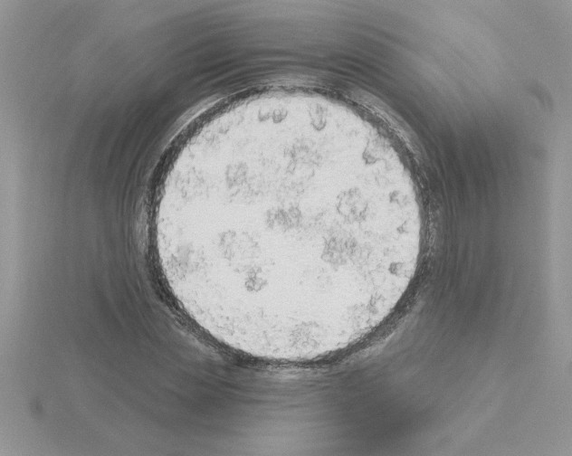 X0000115420829200912151601