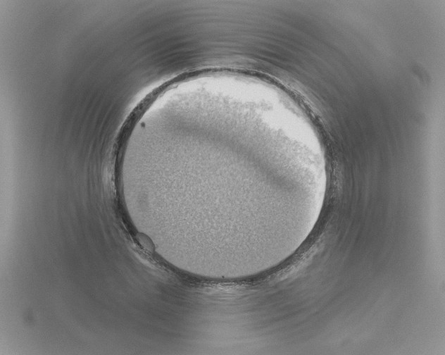 X0000115420830200912151601