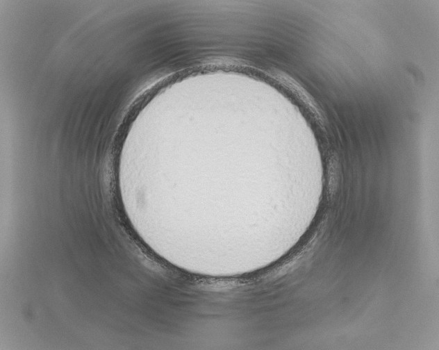 X0000115420831200912151601