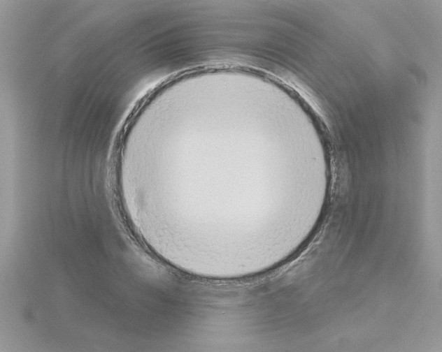 X0000115420832200912151601