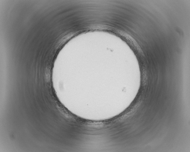 X0000115420833200912151601