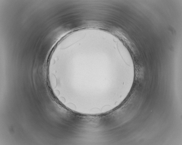 X0000115420836200912151601