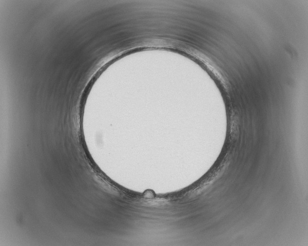 X0000115420837200912151601