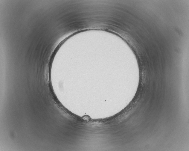 X0000115420838200912151601