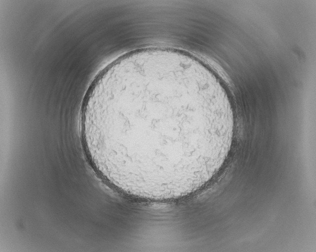 X0000115420839200912151601