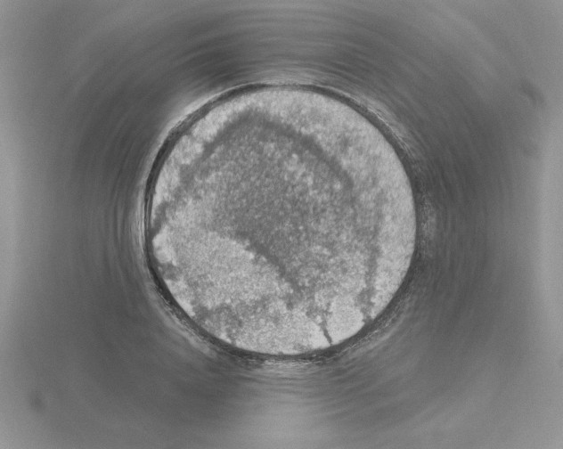 X0000115420840200912151601