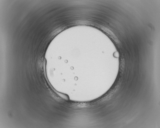 X0000115420841200912151601