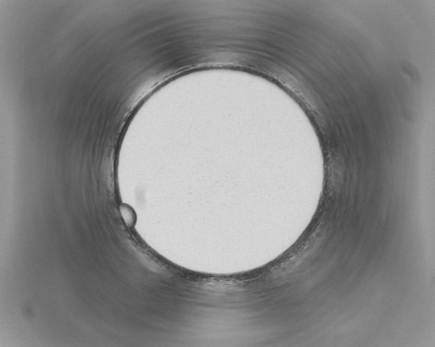 X0000115420842200912151601