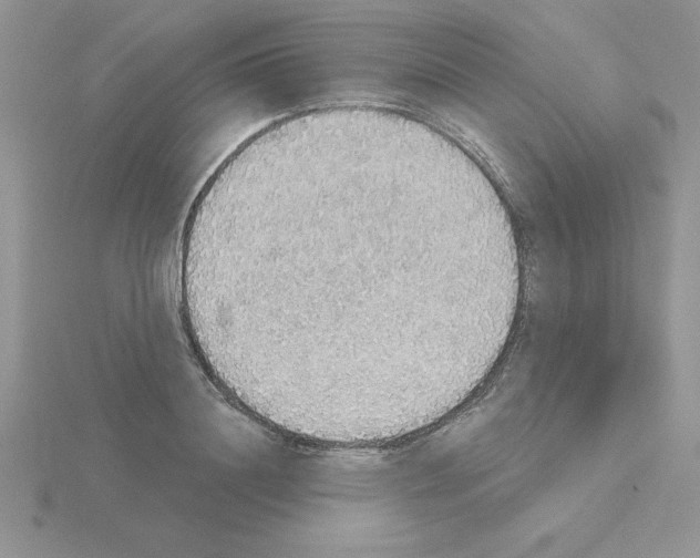 X0000115420844200912151601