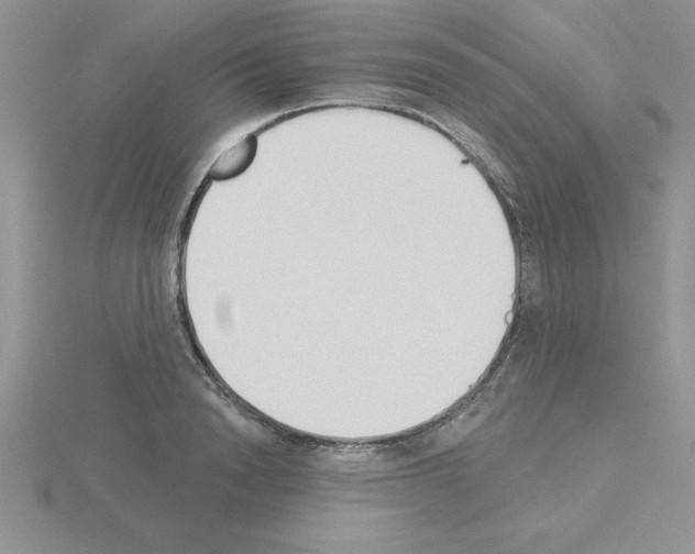 X0000115420846200912151601