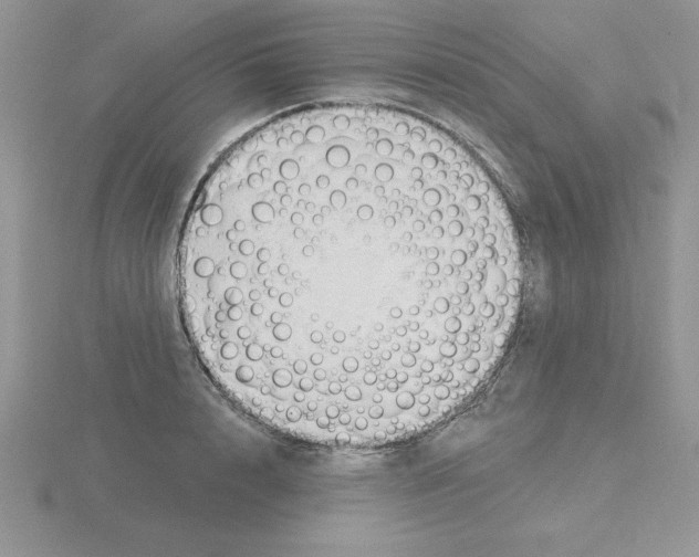 X0000115420848200912151601