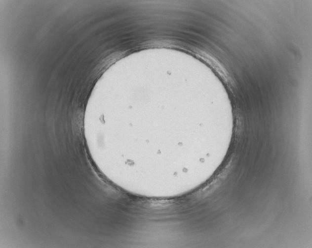 X0000115420849200912151601