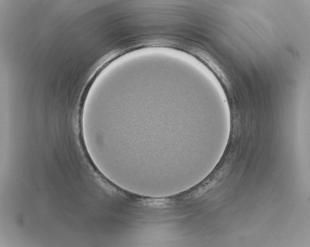 X0000115420853200912151601