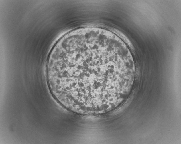 X0000115420855200912151601