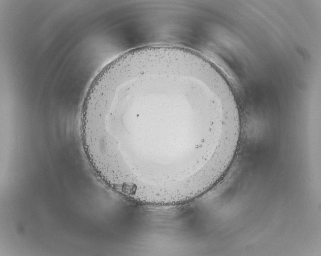 X0000115420856200912151601