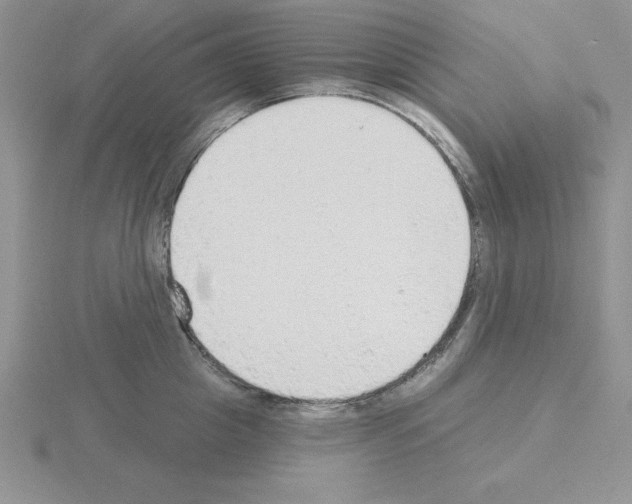 X0000115420857200912151601