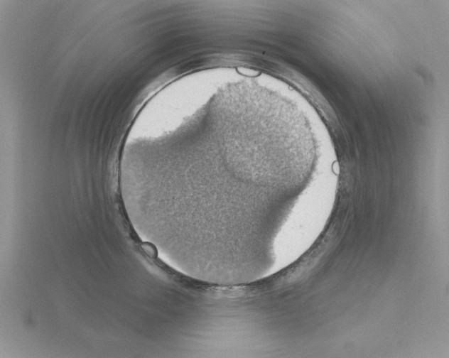 X0000115420858200912151601