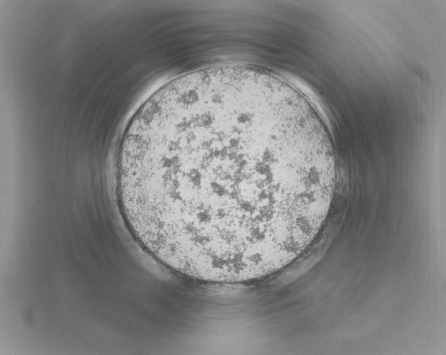 X0000115420859200912151601