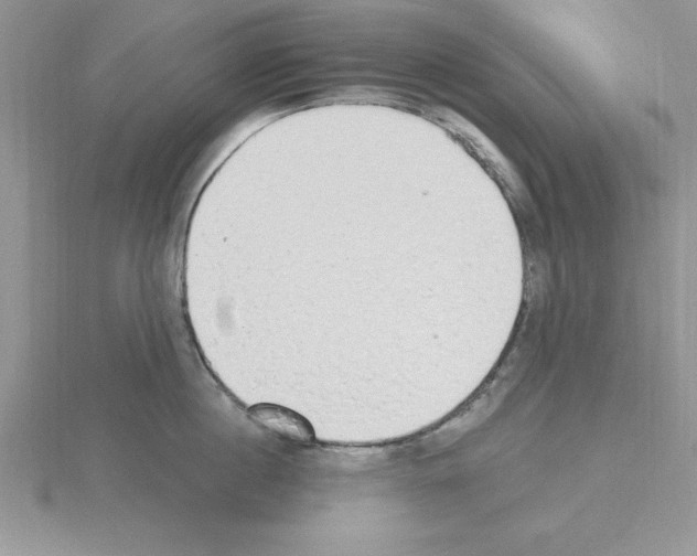 X0000115420860200912151601