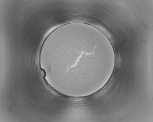 X0000115420862200912151601