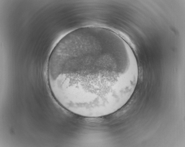 X0000115420863200912151601