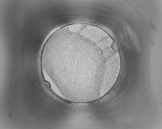 X0000115420864200912151601