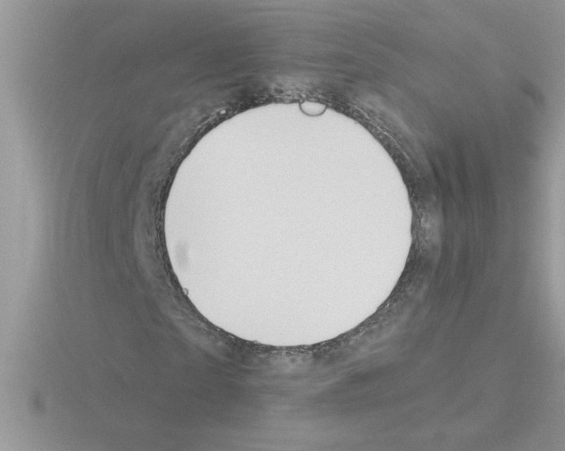 X0000115420865200912151601