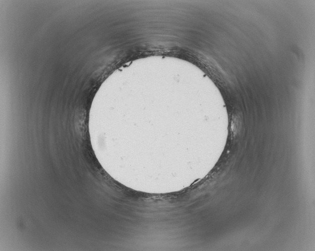 X0000115420867200912151601