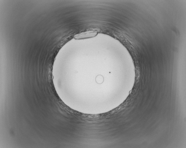 X0000115420868200912151601