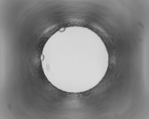 X0000115420869200912151601