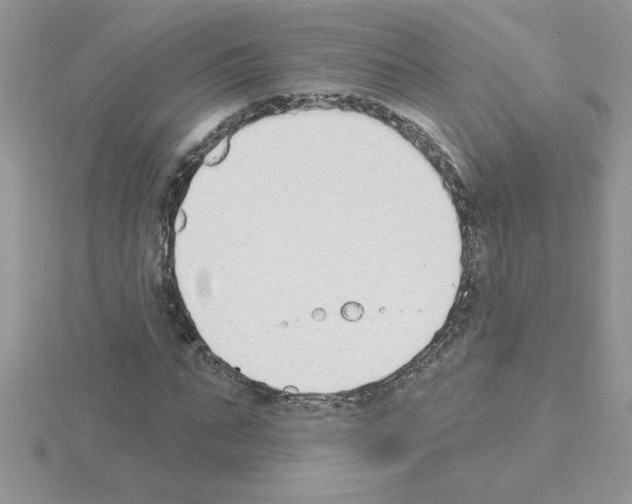 X0000115420871200912151601