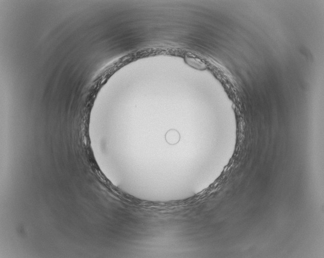 X0000115420872200912151601