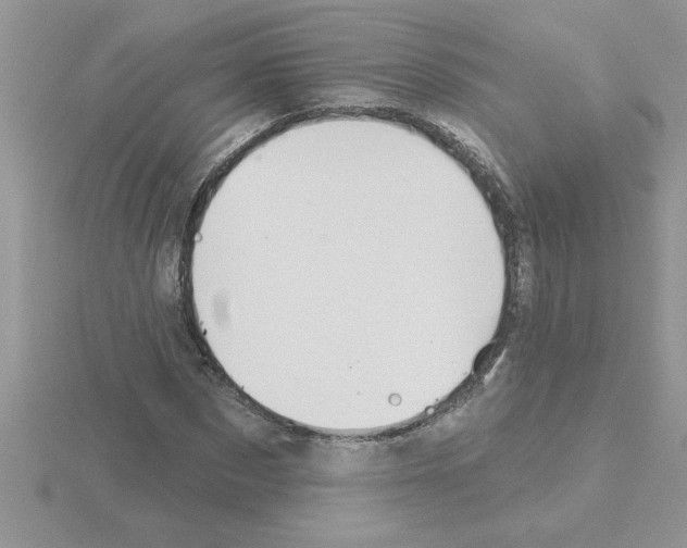 X0000115420873200912151601