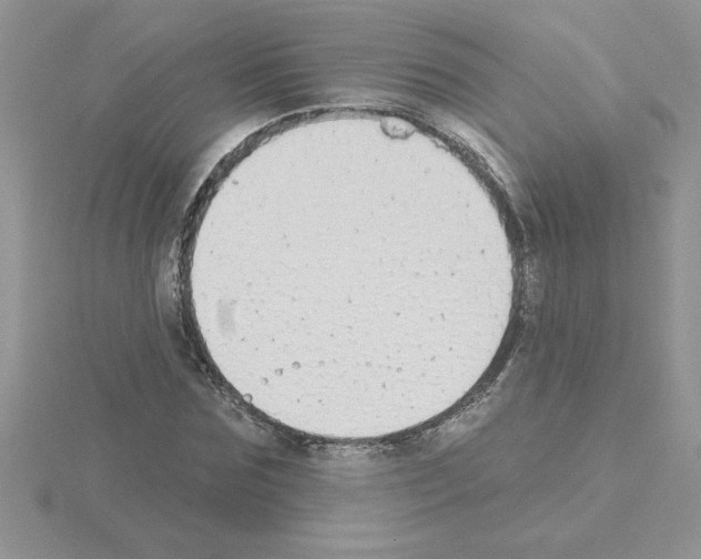 X0000115420875200912151601