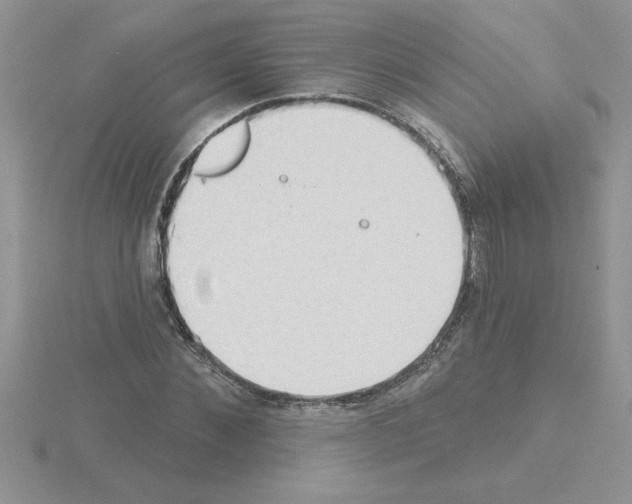 X0000115420876200912151601