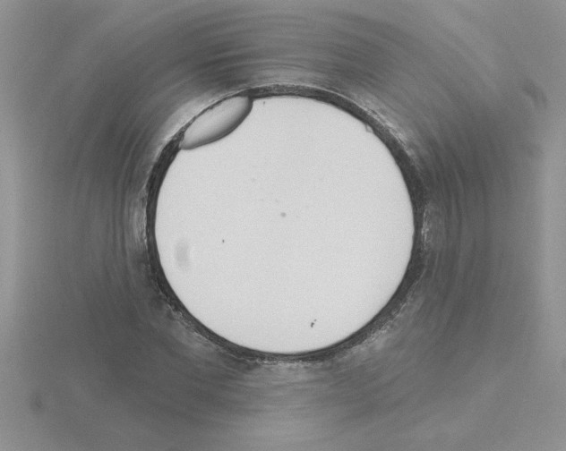 X0000115420877200912151601