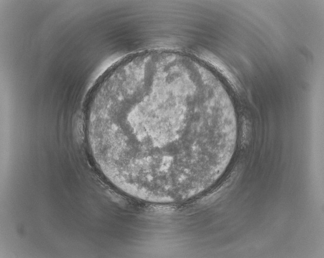 X0000115420878200912151601