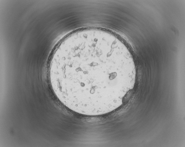 X0000115420879200912151601