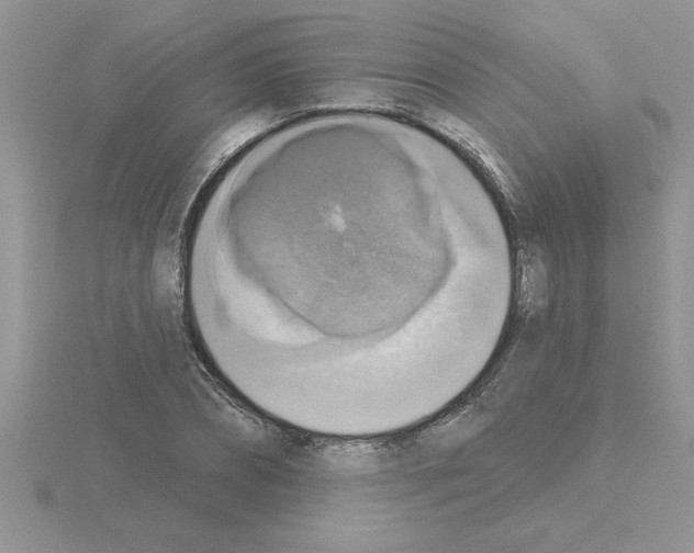 X0000115420882200912151601