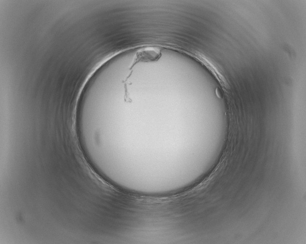 X0000115420884200912151601