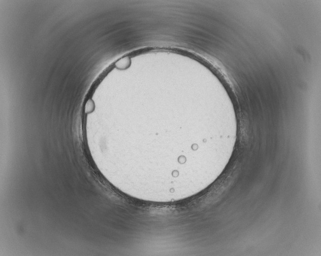 X0000115420887200912151601