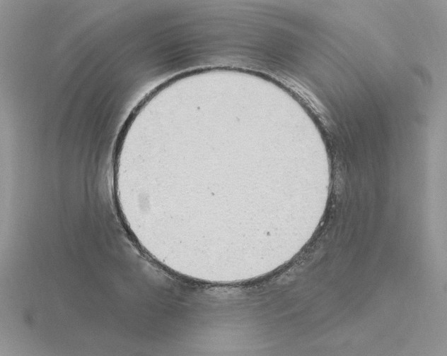 X0000115420888200912151600