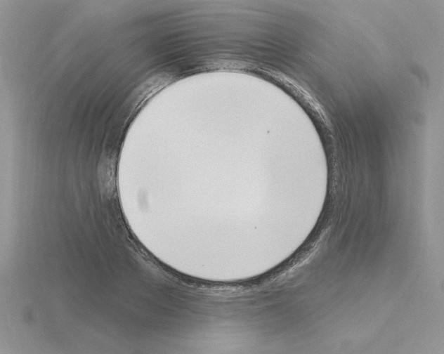 X0000115420889200912151600