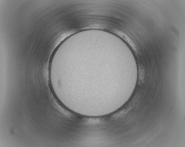 X0000115420890200912151600