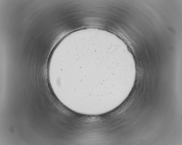 X0000115420891200912151600